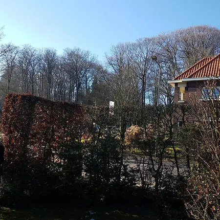 Bosrand Bed & Breakfast *